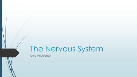 The Nervous System Cole McDougall. Nervous System  The nervous system is a complex collection of nerves and specialized cells known as neurons that transmit.