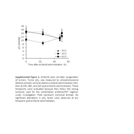 Supplemental Figure 1. Erlotinib does not alter oxygenation of tumors. Tumor pO 2 was measured by phosphorescence lifetime oximetry at times before erlotinib.