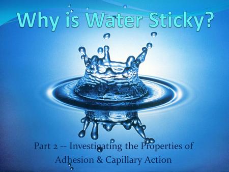 Why is Water Sticky? Part 2 -- Investigating the Properties of