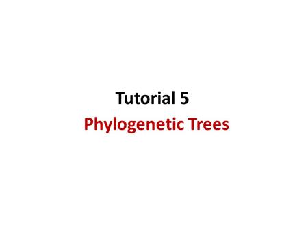 Tutorial 5 Phylogenetic Trees.