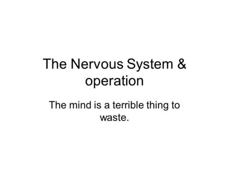 The Nervous System & operation