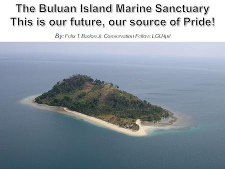 THE BIOLOGICAL AND ECONOMIC IMPORTANCE OF THE 63.16 HECTARE BULUAN ISLAND MARINE SANCTUARY and why the need to protect it! Home to the endangered giant.