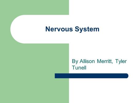 Nervous System By Allison Merritt, Tyler Tunell. What is the Nervous System? Made of Neurons Controls body functions and processes Divided into CNS, and.