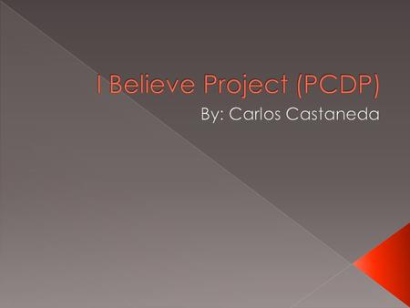  How did I create it?  Positive in every situation  What would I do next time?  Chose a different belief  What was the most interesting issue that.