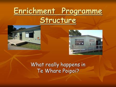 Enrichment Programme Structure What really happens in Te Whare Poipoi?