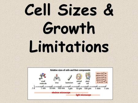 Cell Sizes & Growth Limitations. Volume Volume determines the amount metabolism in the cytoplasm Metabolism will require import of precursors Metabolism.