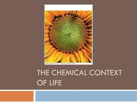 THE CHEMICAL CONTEXT OF LIFE. Key Concepts  Matter Consists of chemical elements in pure form and in combinations called compounds.  An elements properties.