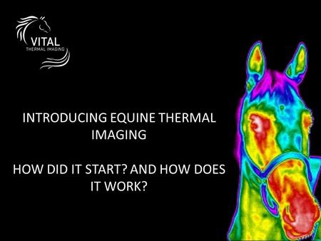 INTRODUCING EQUINE THERMAL IMAGING HOW DID IT START? AND HOW DOES IT WORK?