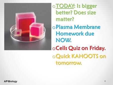 AP Biology o TODAY: Is bigger better? Does size matter? o Plasma Membrane Homework due NOW. o Cells Quiz on Friday. o Quick KAHOOTS on tomorrow.