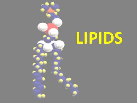 LIPIDS.