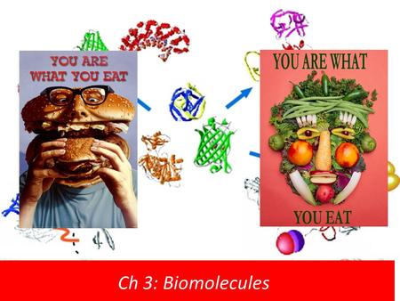 Ch 3: Biomolecules.