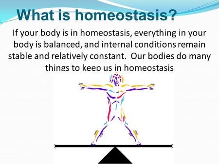 What is homeostasis? If your body is in homeostasis, everything in your body is balanced, and internal conditions remain stable and relatively constant.