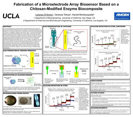 BIOFABRICATION OF MEA GLUCOSE SENSORS Dry in air Ready for in vitro glucose detection (B) Chitosan biopolymer is electrodeposited on target electrode sites;