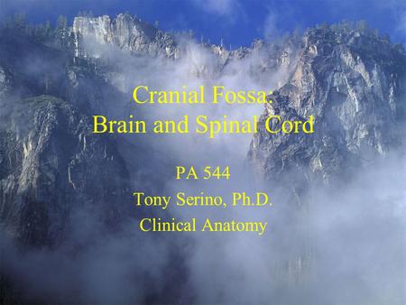 Cranial Fossa: Brain and Spinal Cord PA 544 Tony Serino, Ph.D. Clinical Anatomy.