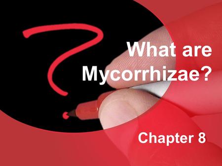 What are Mycorrhizae? Chapter 8.