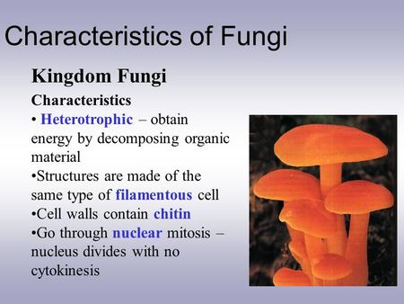 Characteristics of Fungi