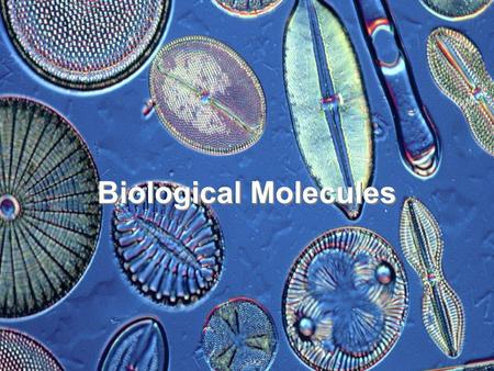 Biological Molecules. Mad Cow Clues In The News General Characteristics of Biological Molecules Carbon based Interact by means of functional groups Assembled.