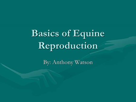 Basics of Equine Reproduction By: Anthony Watson.