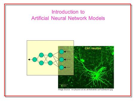 Image Source: ww.physiol.ucl.ac.uk/fedwards/ ca1%20neuron.jpg