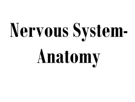 Nervous System- Anatomy. Central Nervous System Brain Spinal Cord (also includes 4 chambers in brain called ventricles)