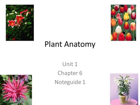 Unit 1 Chapter 6 Noteguide 1