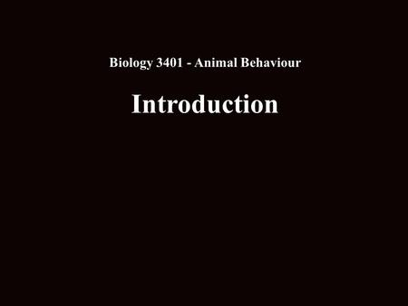 Biology 3401 - Animal Behaviour Introduction. Levels of Analysis in Ethology Proximate CausesUltimate Causes Genetic/Developmental Mechanisms Sensory/Motor.