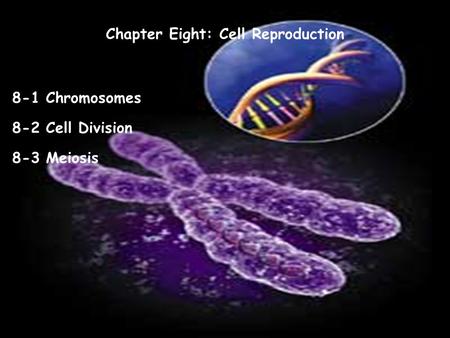 Chapter Eight: Cell Reproduction