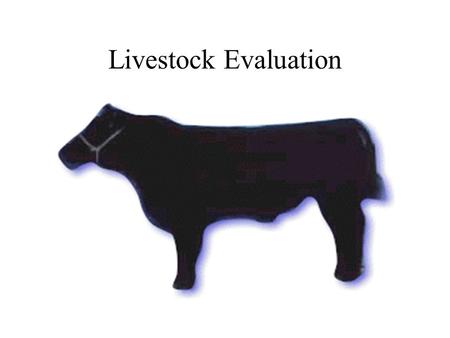 Livestock Evaluation.