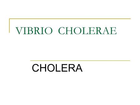 VIBRIO CHOLERAE CHOLERA. CHARACTERISTICS GRAM-NEGATIVE, COMMA SHAPED BACILLI MOTILE – POLAR FLAGELLA OXIDASE – POSITIVE CATALASE – POSITIVE ALKALNE PH.