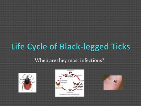 When are they most infectious?. Life Cycle of Black-Legged Ticks.