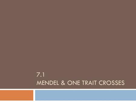 7.1 MENDEL & ONE TRAIT CROSSES. Lesson Objectives  Students will be able to:  Explain the major experiments conducted by Gregor Mendel  Define genes,