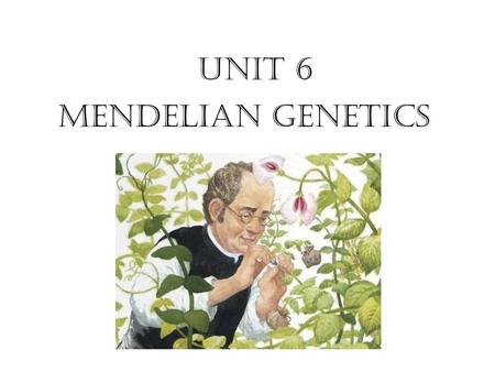 Unit 6 Mendelian Genetics.