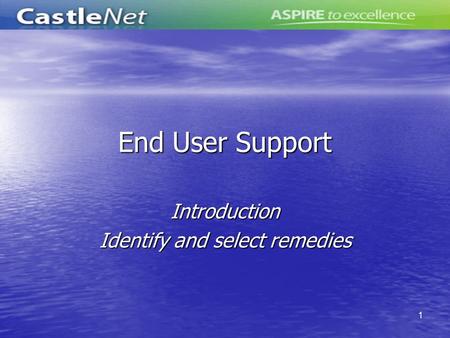 1 End User Support Introduction Identify and select remedies.