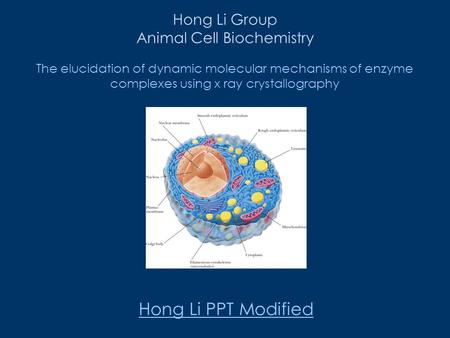 Hong Li PPT Modified Hong Li Group Animal Cell Biochemistry The elucidation of dynamic molecular mechanisms of enzyme complexes using x ray crystallography.