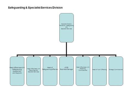 Assistant Director Prevention, Safeguarding and Specialist Services Head of Business Unit (Safeguarding, Assessment and Support) Head of Business Unit.