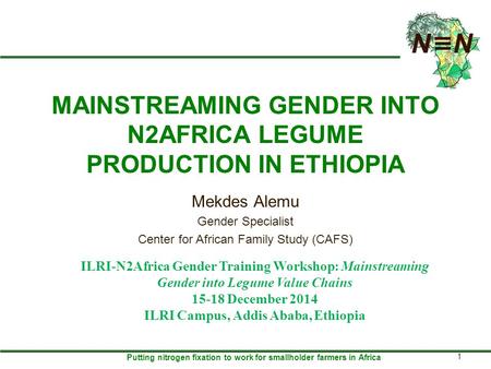 Putting nitrogen fixation to work for smallholder farmers in Africa MAINSTREAMING GENDER INTO N2AFRICA LEGUME PRODUCTION IN ETHIOPIA Mekdes Alemu Gender.