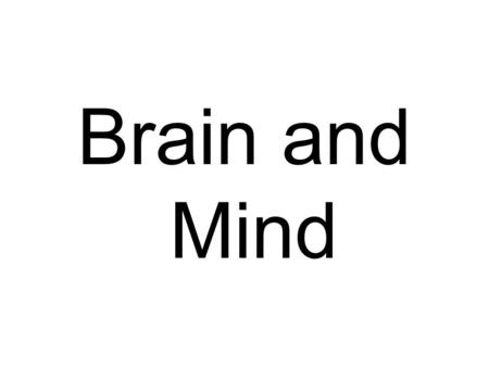 Brain and Mind. Reflexes A reflex is an automatic response to a stimulus. Reflexes are very fast Simple reflexes help an animal to survive. Examples include.