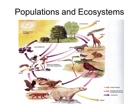 Populations and Ecosystems. Objectives To define the terms abiotic, biotic, biosphere, habitat, niche, population, community and ecosystem and to be able.