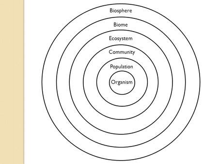 Organism Population Community Ecosystem Biome Biosphere.