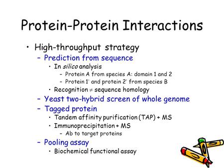 1 Protein-Protein Interactions High-throughput strategy –Prediction from sequence In silico analysis –Protein A from species A: domain 1 and 2 –Protein.