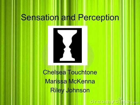 Sensation and Perception Chelsea Touchtone Marissa McKenna Riley Johnson.