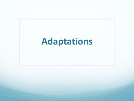 Adaptations. What is an adaptation? An adjustment or change in the structure or behavior of an organism that makes it more suited to its environment.