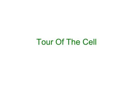 Tour Of The Cell. Microscopy What is the difference between magnification and resolving power? Magnification is how much larger the object can now appear.