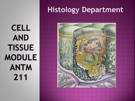 Histology Department. Coordinator: Dr. Tarek Dardeer Teaching staff: Dr. T. Dardeer Dr. Sahar Galal Semester: Three Year: Second Duration: 3 weeks Beginning.