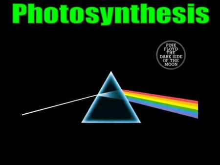 Light Absorption Sun gives off visible (white) light White light is actually a mixture of ROY G BIV –Red, Orange, Yellow, Green, Blue, Indigo, Violet.