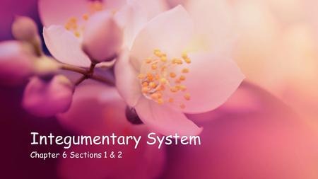 Integumentary SystemIntegumentary System Chapter 6 Sections 1 & 2Chapter 6 Sections 1 & 2.