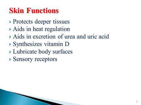 Skin Functions  Protects deeper tissues  Aids in heat regulation  Aids in excretion of urea and uric acid  Synthesizes vitamin D  Lubricate body surfaces.