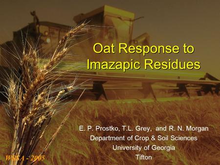 Oat Response to Imazapic Residues E. P. Prostko, T.L. Grey, and R. N. Morgan Department of Crop & Soil Sciences University of Georgia Tifton WSSA - 2005.