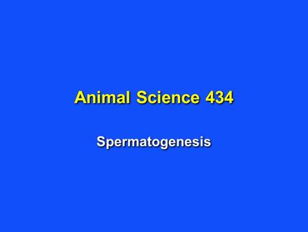 Animal Science 434 Spermatogenesis. Production of Fertile Sperm hormonal regulation of the testis mitotic division of spermatogonia meiotic divisions.