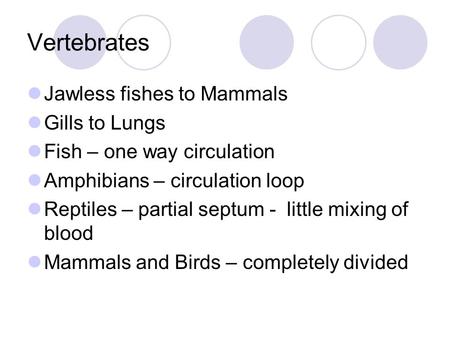 Vertebrates Jawless fishes to Mammals Gills to Lungs Fish – one way circulation Amphibians – circulation loop Reptiles – partial septum - little mixing.